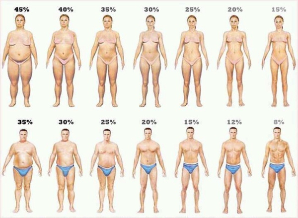 Bodyfat Image